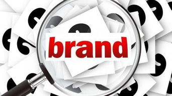 20類家具工藝品商標轉讓費用與購買流程詳解