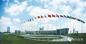 新春開門紅 20個產業化項目扎堆中國醫藥城，技術服務開啟新篇章